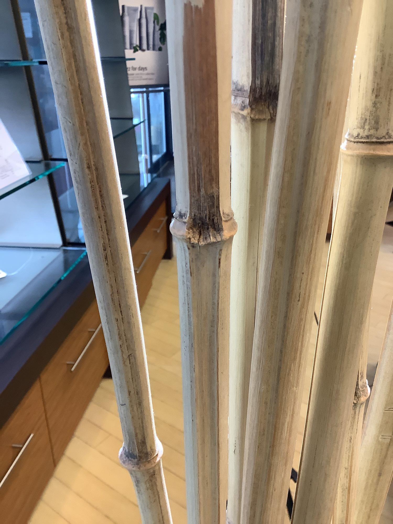 Planter with Bamboo