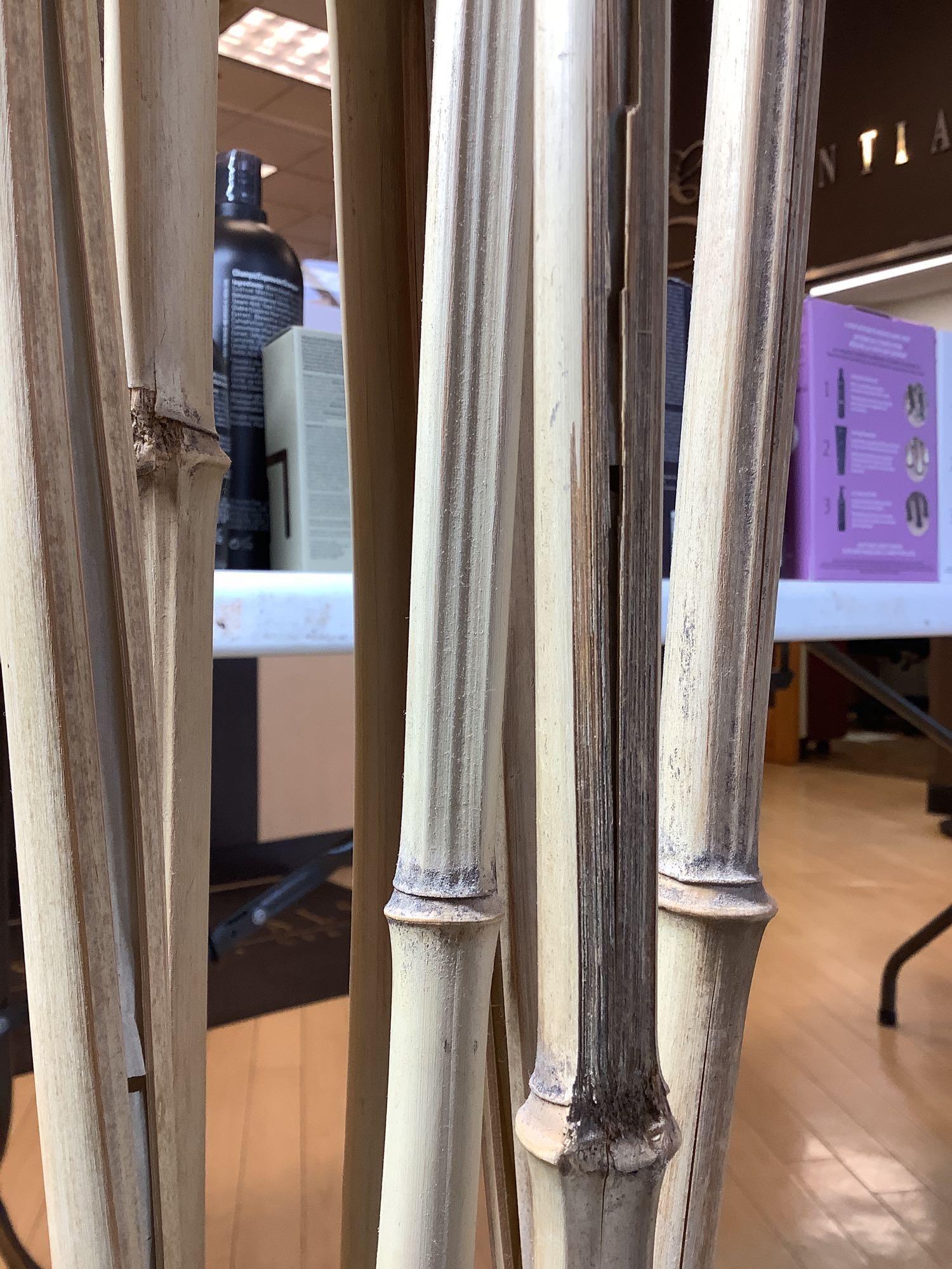 Planter with Bamboo