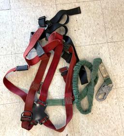Buckingham Buck Harness