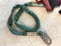 Buckingham Buck Harness
