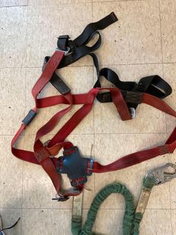 Buckingham Buck Harness