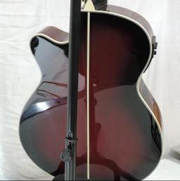 Ibanez AEG20II-TRS-3R-01 acoustic / electric guitar with cord and stand.