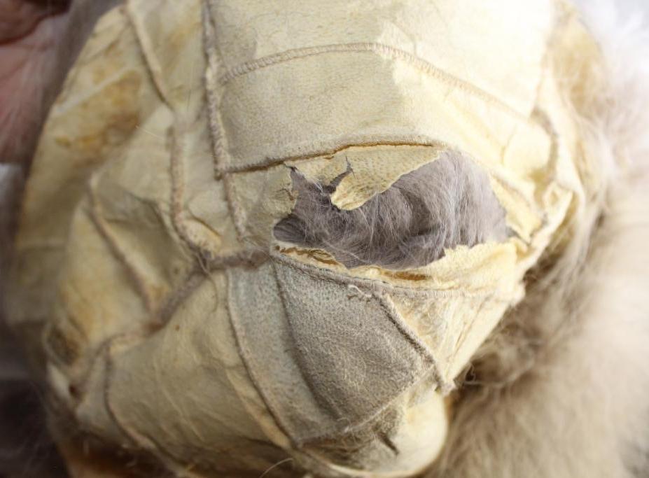 Three Older Fur and Leather Hats