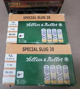 12 Gauge Slugs and Personal Protection Ammunition