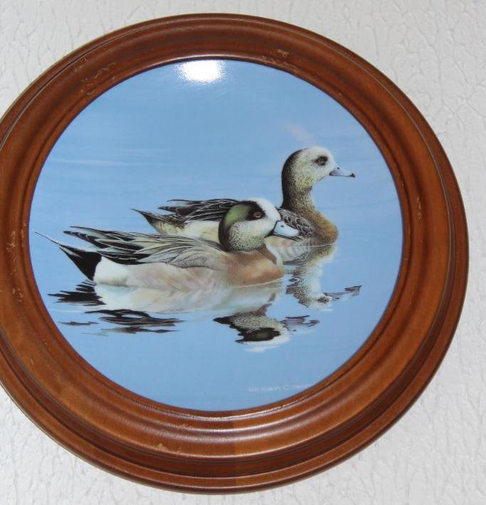 Six Duck Collector Plates in Wood Frames