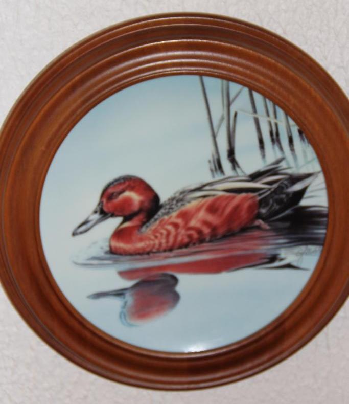 Six Duck Collector Plates in Wood Frames