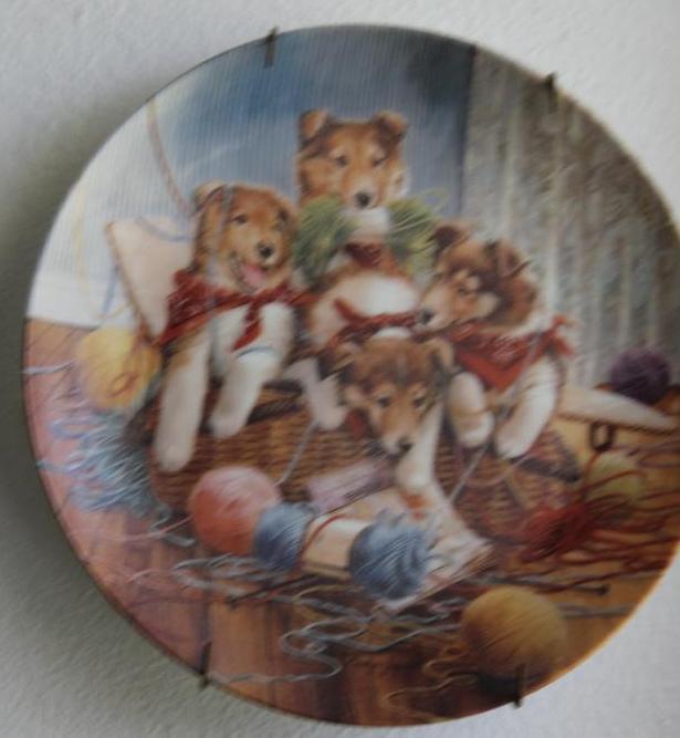 6 Dog-Themed Collector Plates on Hangers