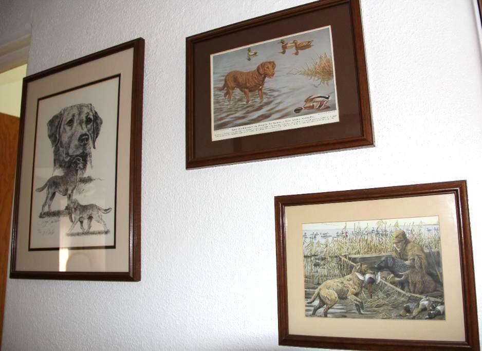 Three Small Framed Dog-Themed Prints