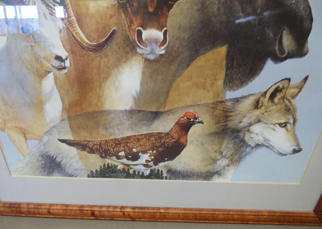 Jim Hays Wildlife Artwork