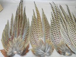 Pheasant Tails