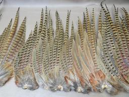 Pheasant Tails