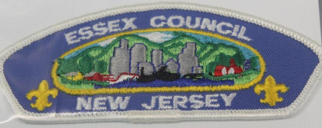 16 Mixed Council Patches