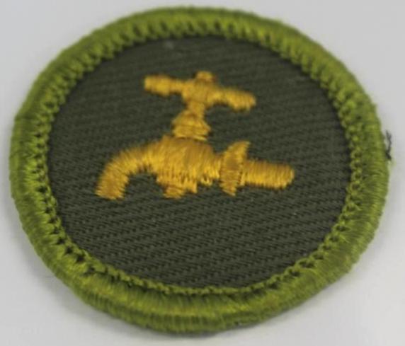 13 BSA Merit Badges