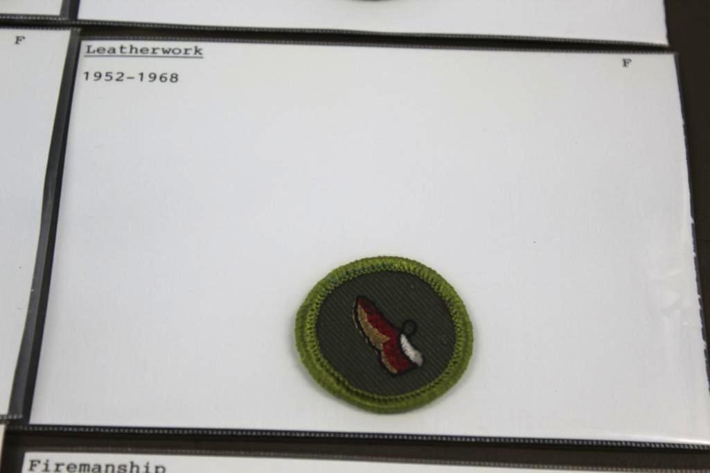 13 BSA Merit Badges