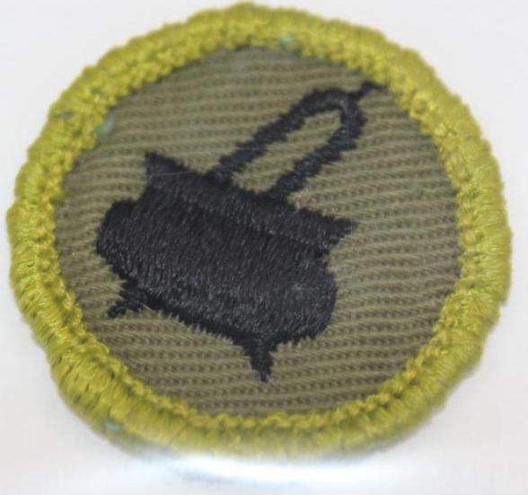 13 BSA Merit Badges