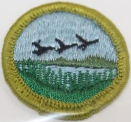 13 BSA Merit Badges