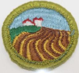 13 BSA Merit Badges