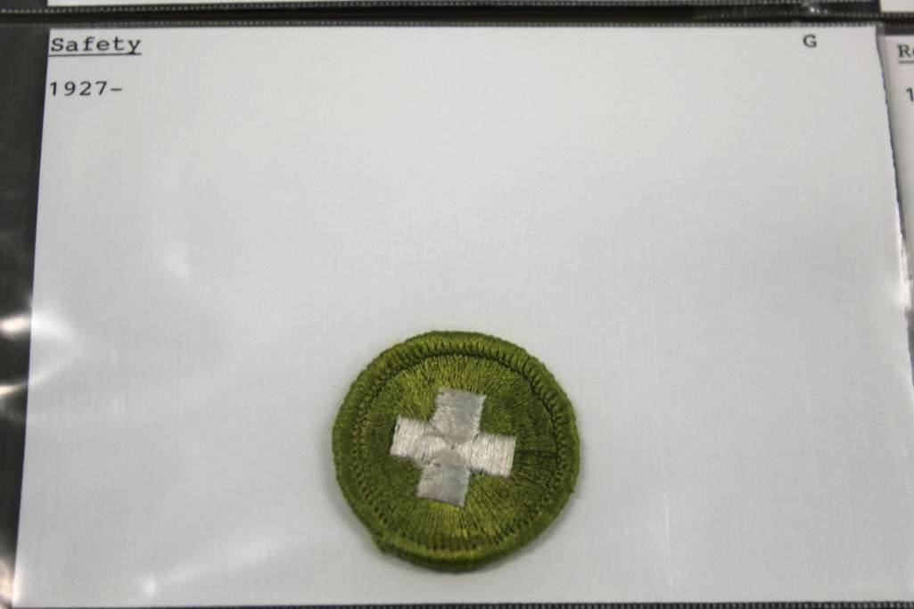 13 BSA Merit Badges