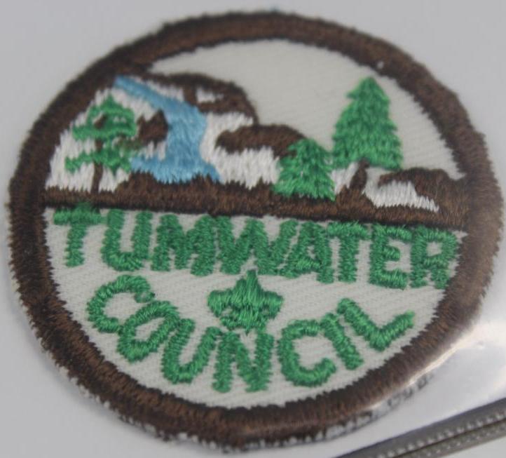 9 Small BSA Council Patches with some Accessory Patches