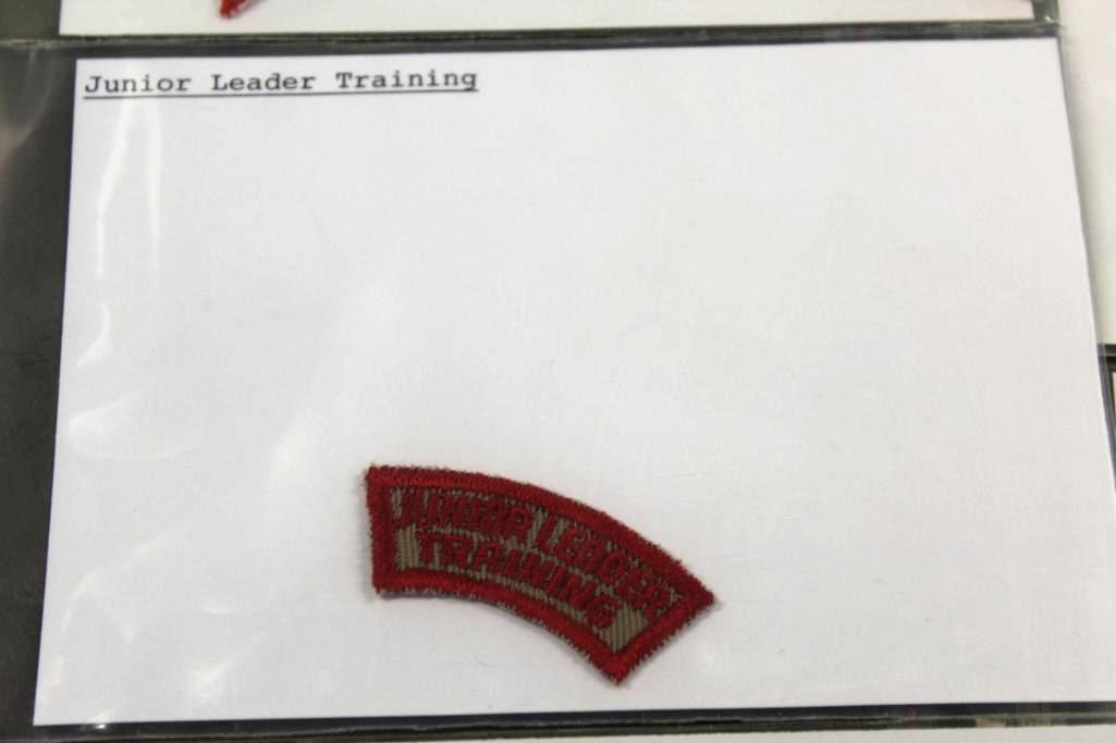 Collection of Accessory BSA Word Patches