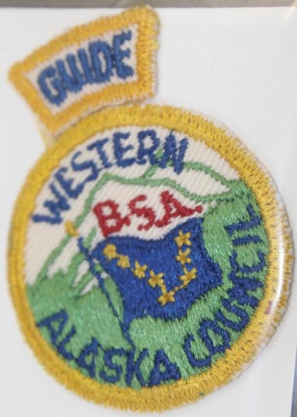 Eight Small BSA Council Patches