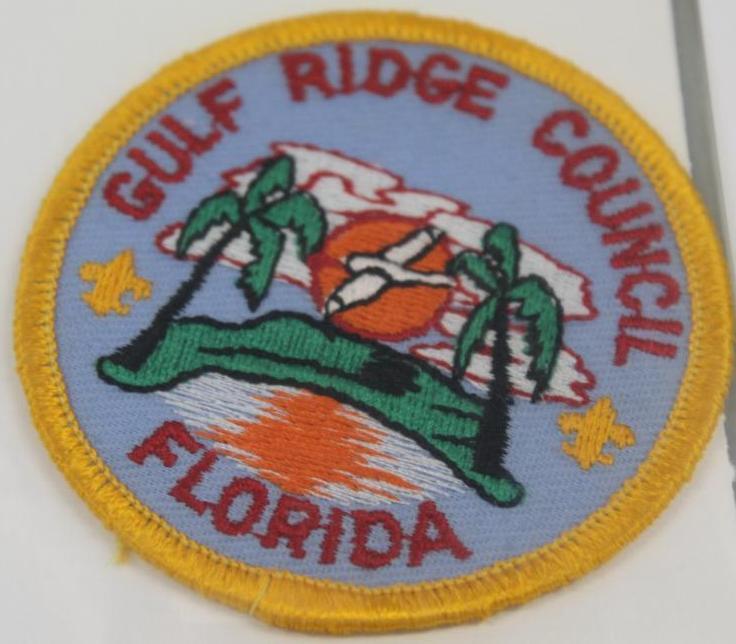 13 Mixed Florida Area Council Patches