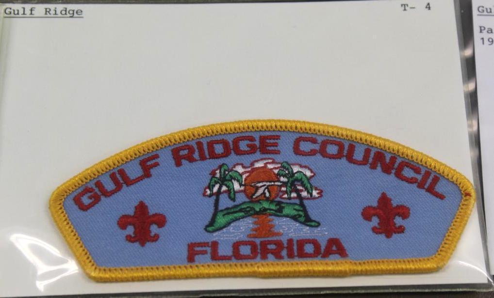 13 Mixed Florida Area Council Patches