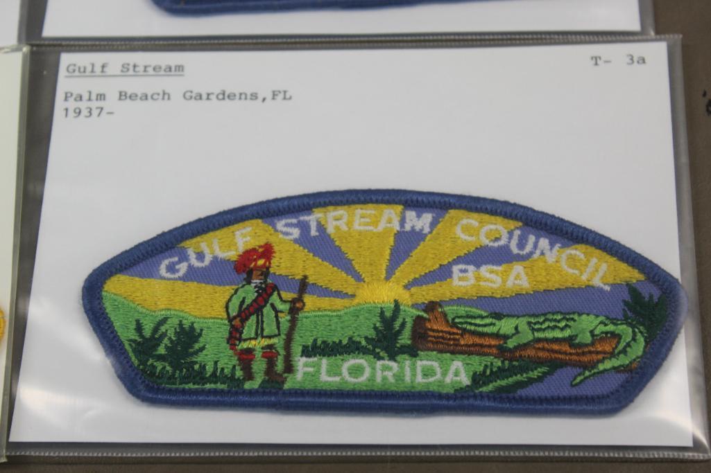 13 Mixed Florida Area Council Patches