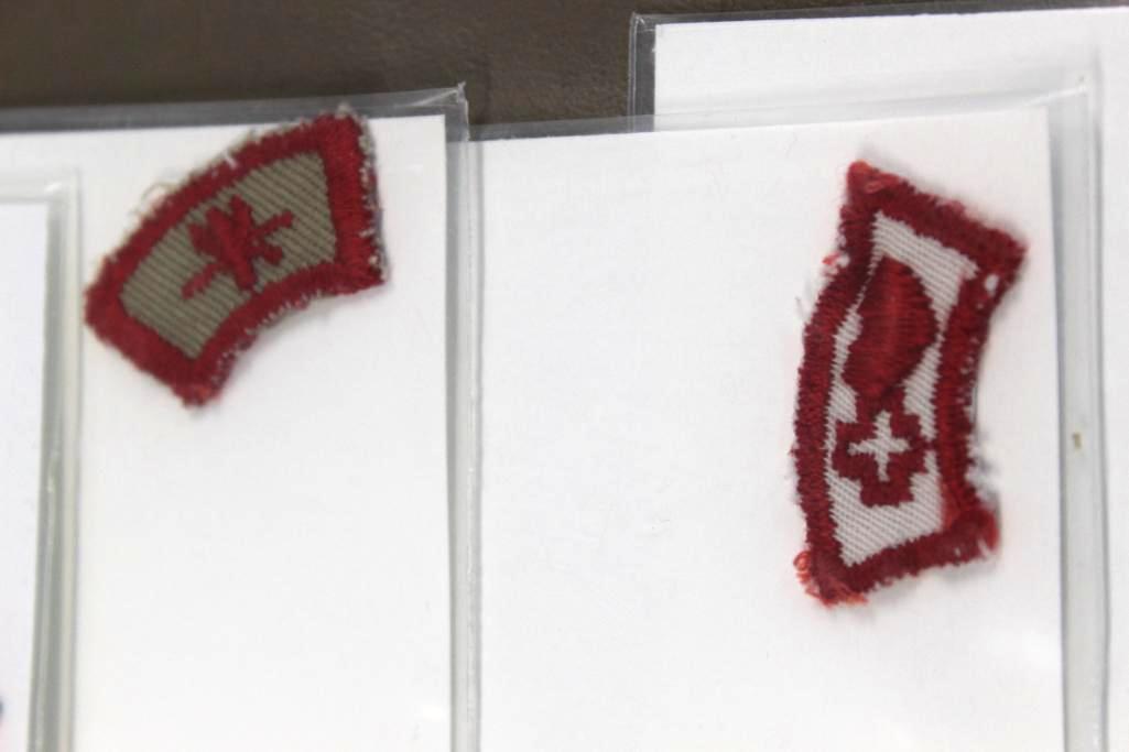 Collection of Early BSA Segment Patches