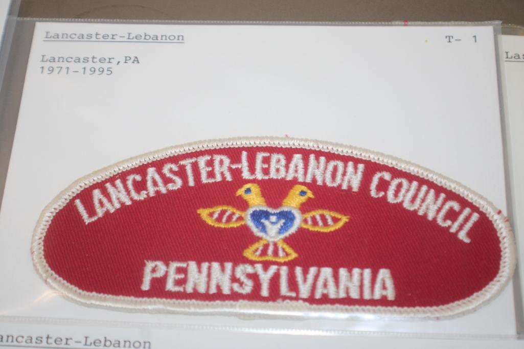 10 L-Name BSA Council Patches