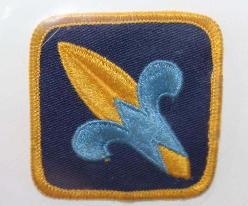 17 Scouting Patches Dated 1989 or 2010