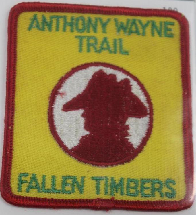 9+ BSA Trail Patches