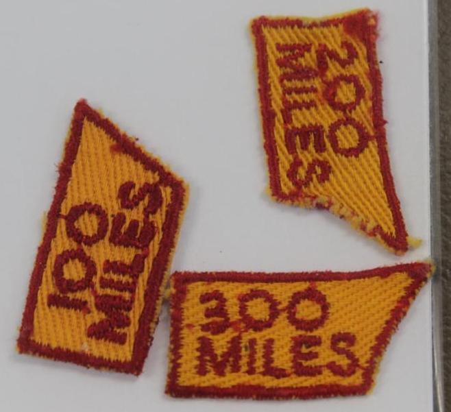 9+ BSA Trail Patches