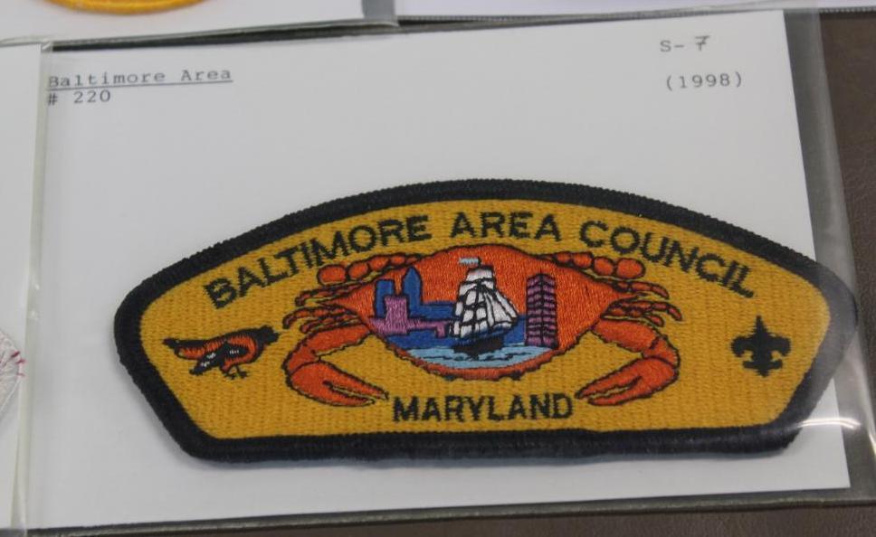 19 Mixed BSA Council Patches