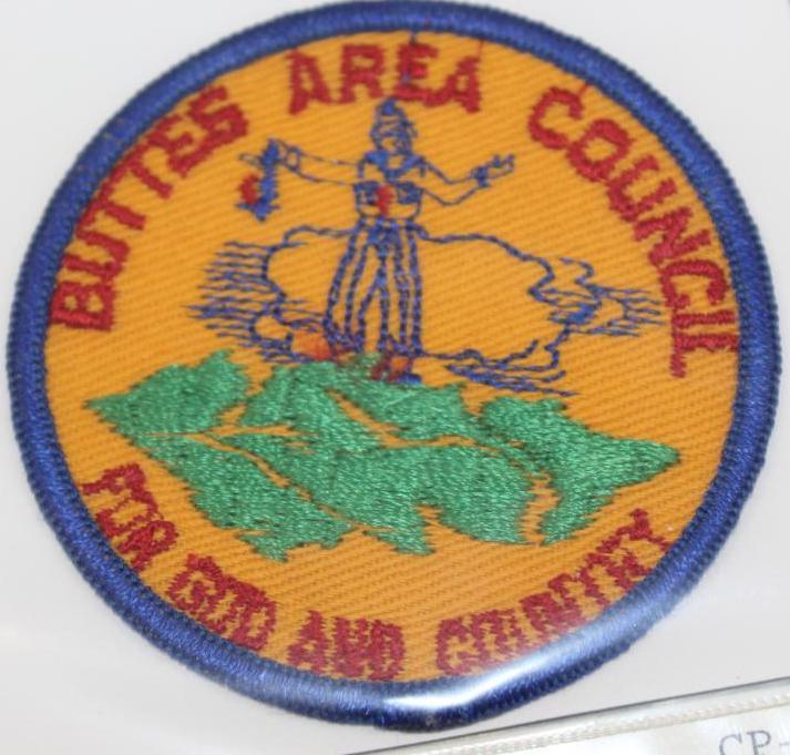 16 Mixed BSA Patches from NJ and CA Councils