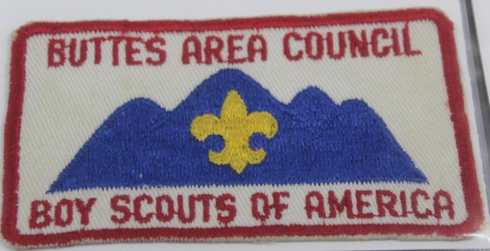 16 Mixed BSA Patches from NJ and CA Councils