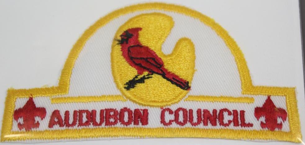 11 Unique BSA Council Patches or Sets with A&B Names