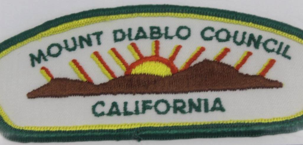 15 Mixed Scout Council Patches for M-Name Councils