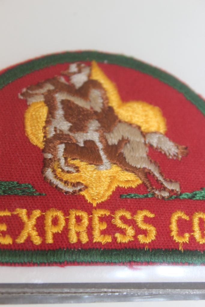 Collection of Pony Express Council Patches with 6 Additional District Name Patches