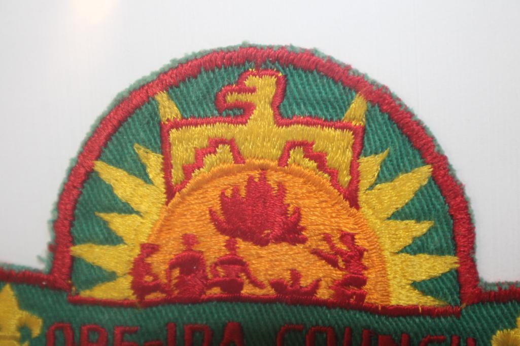 Collection of 12 Vintage BSA Council Patches