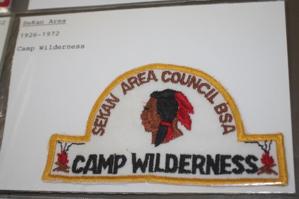 Collection of 12 Vintage BSA Council Patches