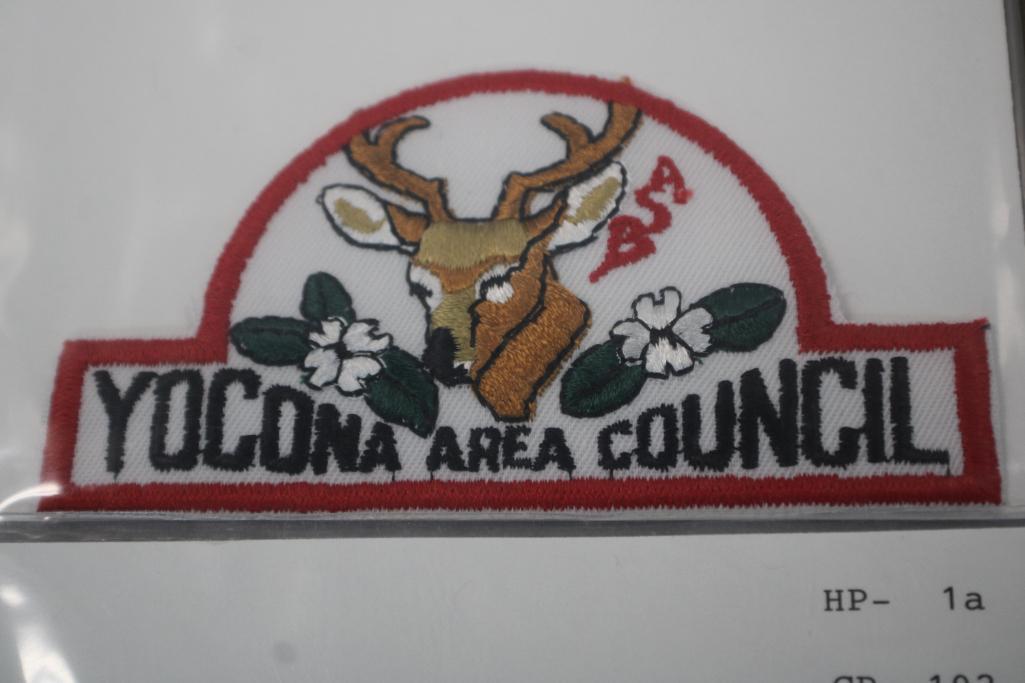 9 Vintage BSA Council Patches