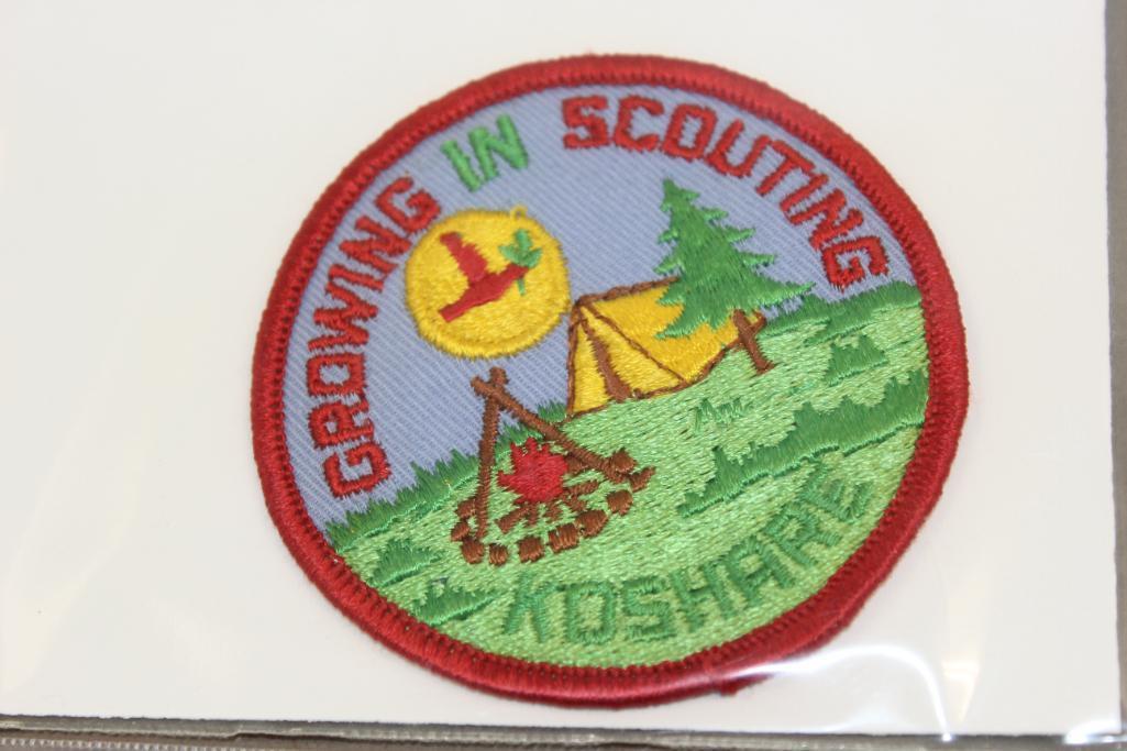 14 Miscellaneous Scouting Patches