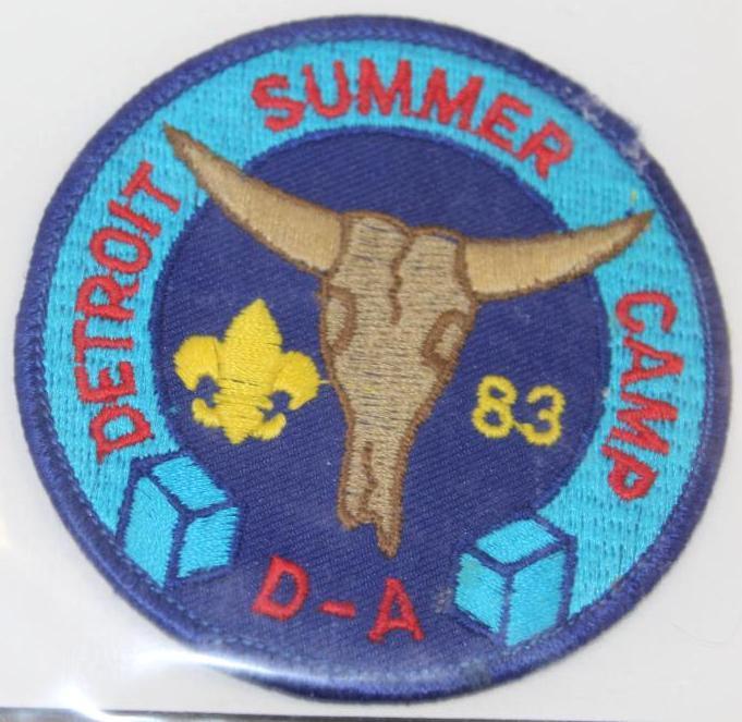 10 Mixed BSA Regional Camp and Council Patches