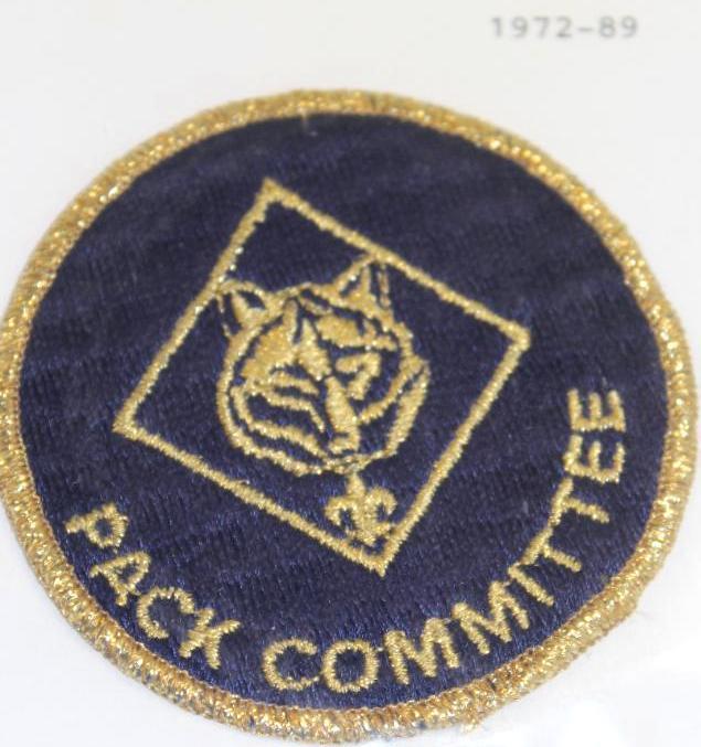 9 Administrative BSA Patches Committee and Commissioner