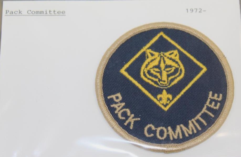 9 Administrative BSA Patches Committee and Commissioner