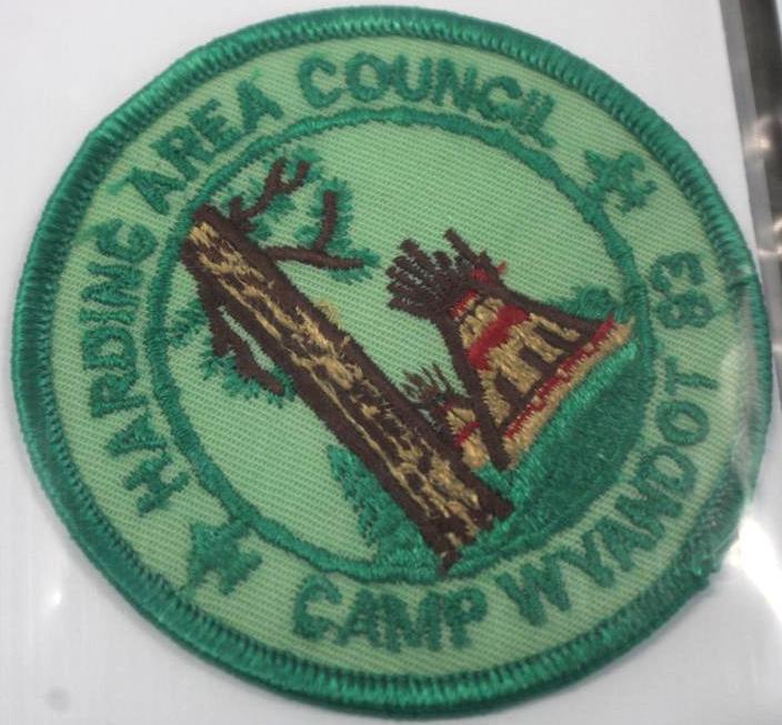 12 BSA Scouting Camp Patches