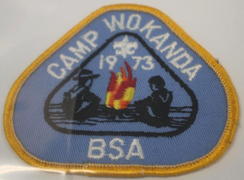 12 BSA Scouting Camp Patches