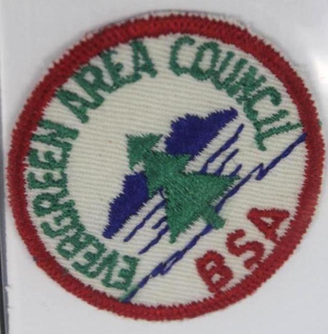 10 Small BSA Council Patches