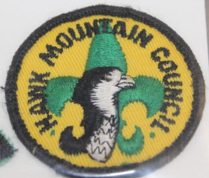 10 Small BSA Council Patches